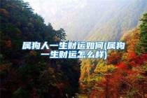 属狗人一生财运如何(属狗一生财运怎么样)