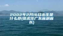 2002年2月16日出生是什么命(张虎任广东省副省长)