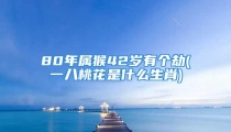 80年属猴42岁有个劫(一八桃花是什么生肖)