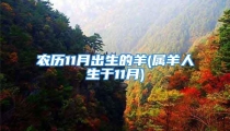 农历11月出生的羊(属羊人生于11月)