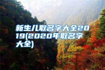 新生儿取名字大全2019(2020年取名字大全)