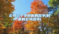 公司三个字好听的名字(好听的公司名字)