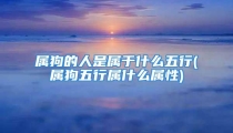 属狗的人是属于什么五行(属狗五行属什么属性)