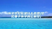 怀孕梦见蛇是什么意思(梦见妻子怀孕周公解梦)