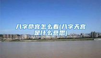八字命宫怎么看(八字天宫是什么意思)