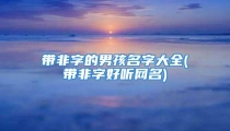 带非字的男孩名字大全(带非字好听网名)