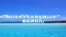 八字中什么代表配偶(八字看配偶姓氏)