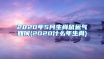 2020年5月生肖鼠运气如何(2020什么年生肖)