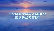 二个字公司名字大全(两个名字的公司名称)