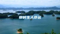 卯时生人命运