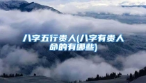 八字五行贵人(八字有贵人命的有哪些)