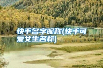 快手名字昵称(快手可爱女生名称)