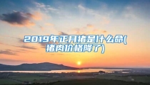 2019年正月猪是什么命(猪肉价格降了)