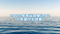 2022年年运卦象(2022年是什么卦象)