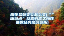 梅花易数变爻怎么变(“”面色占”见喜则喜之梅花易数经典案例赏析)