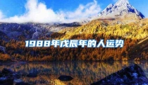 1988年戊辰年的人运势