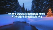 免费八字起名网(测算生辰八字五行命格起名字)