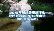 2013年属蛇命里缺什么取什么名字(2013年出生的蛇是什么命)