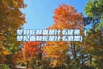 梦到蛇和血是什么征兆 (梦见血和蛇是什么意思)