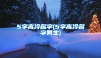 5字高冷名字(5字高冷名字男生)