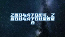 乙酉日与戊子日配吗,乙酉日柱与戊子日柱是否适合