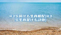 43岁属什么生肖相配(43岁生肖是什么动物)