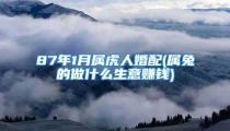 87年1月属虎人婚配(属兔的做什么生意赚钱)