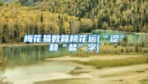 梅花易数算桃花运(“涩”和“盐”字)