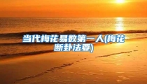 当代梅花易数第一人(梅花断卦法要)