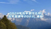 2024年龙年是什么命(龙年是哪年2023)_重复