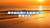 奥字起名是什么意思(起名带草字头)
