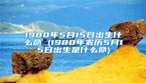 1980年5月15日出生什么命 (1980年农历5月15日出生是什么命)