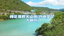 梅花易数火山旅(刘彦文个人简历)