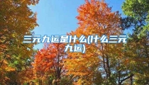 三元九运是什么(什么三元九运)