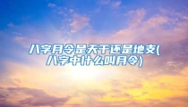 八字月令是天干还是地支(八字中什么叫月令)