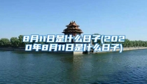 8月11日是什么日子(2020年8月11日是什么日子)