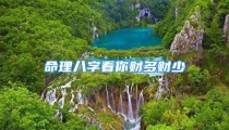 命理八字看你财多财少