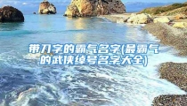 带刀字的霸气名字(最霸气的武侠绰号名字大全)