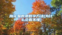 梅花易数测数字方法(为什么会看不懂)