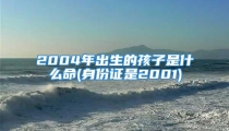 2004年出生的孩子是什么命(身份证是2001)