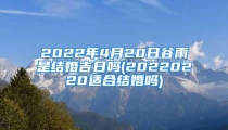 2022年4月20日谷雨是结婚吉日吗(20220220适合结婚吗)