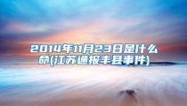 2014年11月23日是什么命(江苏通报丰县事件)