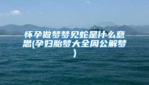 怀孕做梦梦见蛇是什么意思(孕妇胎梦大全周公解梦)