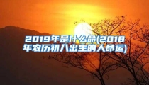 2019年是什么命(2018年农历初八出生的人命运)