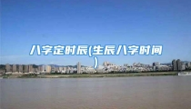 八字定时辰(生辰八字时间)