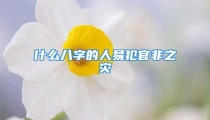 什么八字的人易犯官非之灾