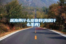 属狗养什么宠物好(狗属什么生肖)