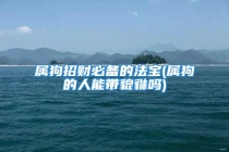 属狗招财必备的法宝(属狗的人能带貔貅吗)