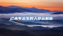 己未年出生的人命运解析