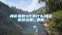 梅花易数9代表什么(梅花断卦法要)_重复